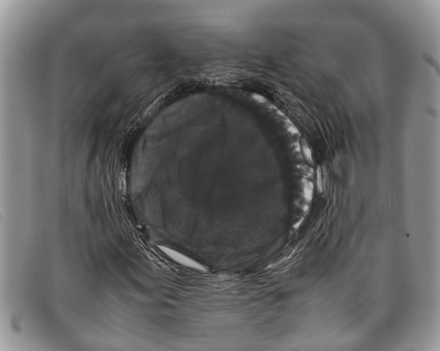 X0000097801155200804110917