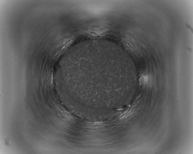 X0000097801156200804110917