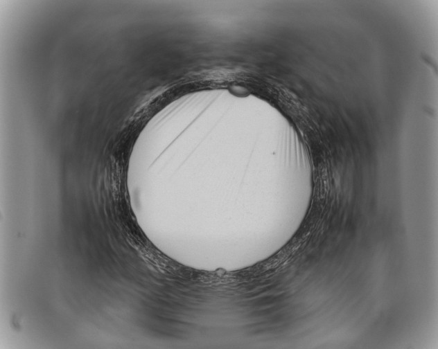 X0000097801158200804110917