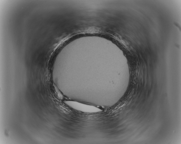 X0000097801160200804110917