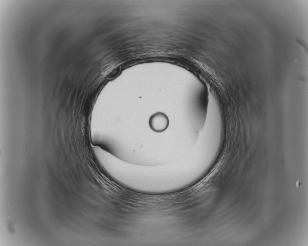 X0000097801161200804110917