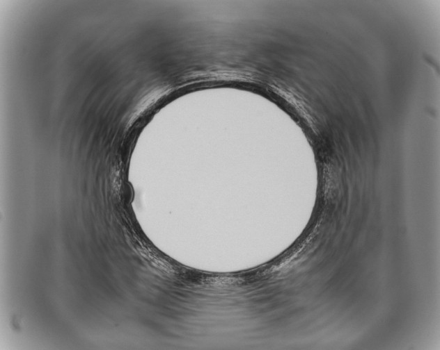 X0000097801163200804110917