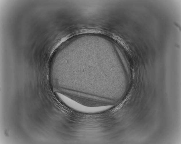 X0000097801165200804110916