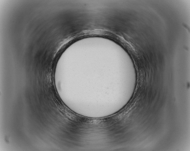 X0000097801166200804110916