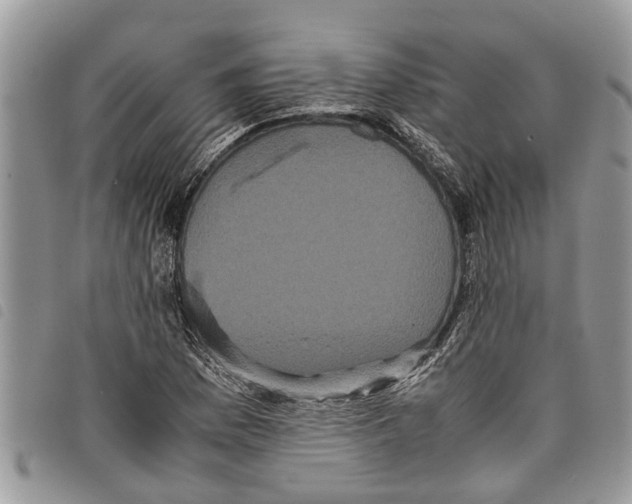 X0000097801169200804110916