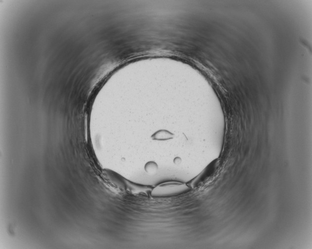 X0000097801171200804110916