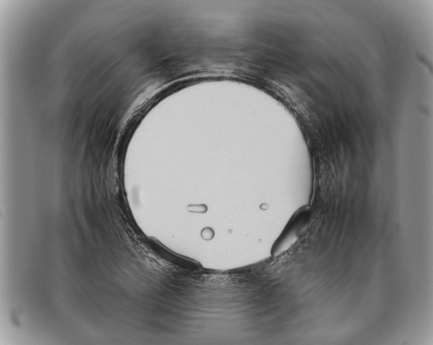 X0000097801172200804110916