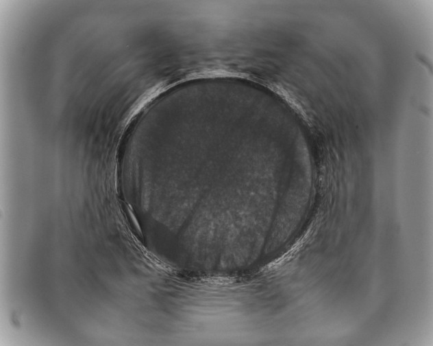 X0000097801173200804110916