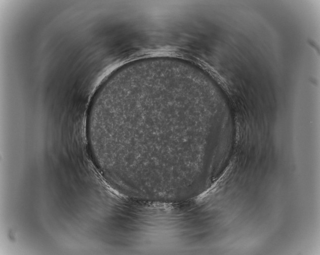 X0000097801174200804110916