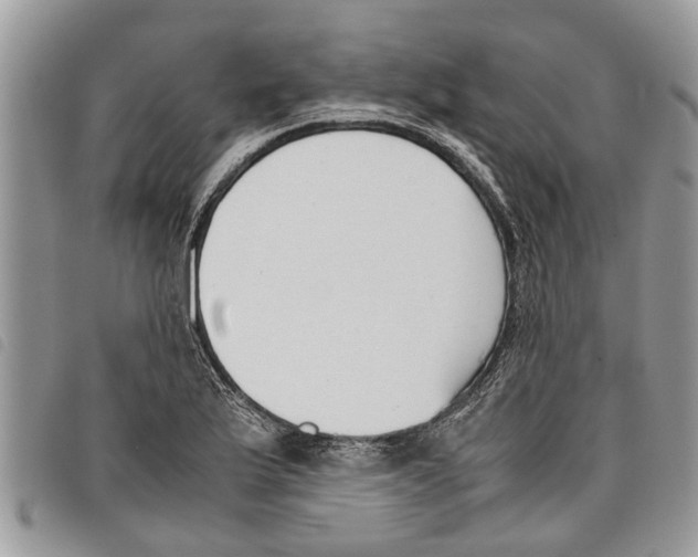 X0000097801175200804110916