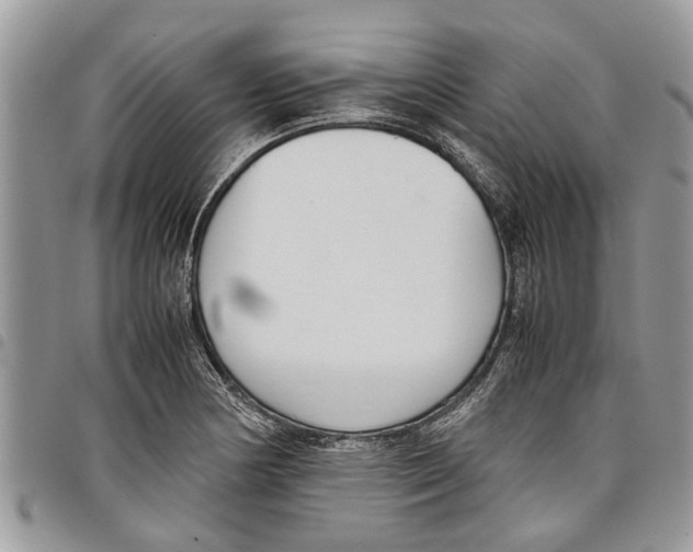 X0000097801178200804110916