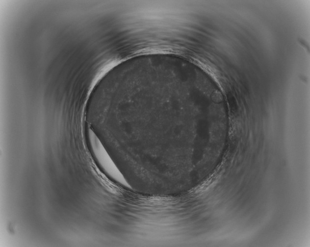 X0000097801179200804110916