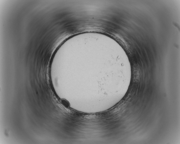 X0000097801182200804110916