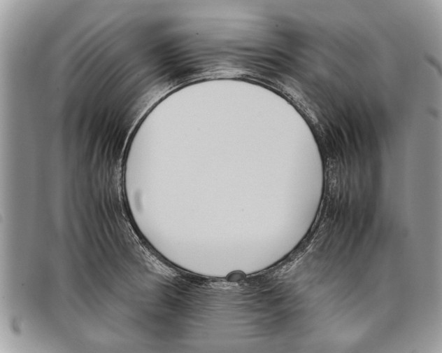 X0000097801186200804110916