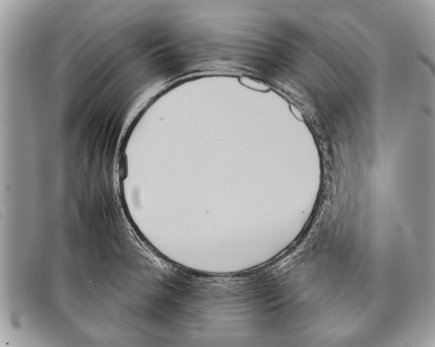 X0000097801188200804110916