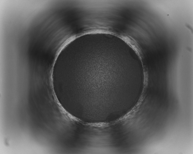 X0000097801189200804110916