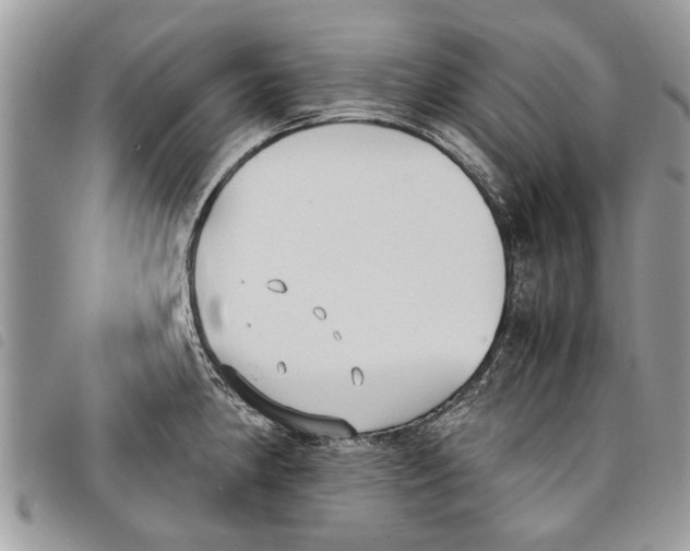 X0000097801190200804110916