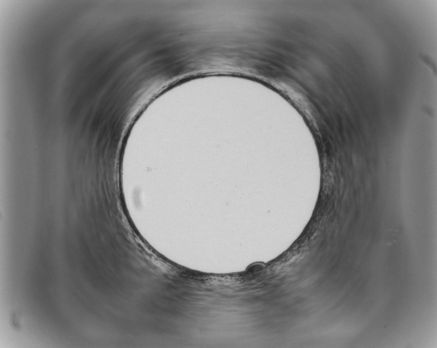 X0000097801191200804110916