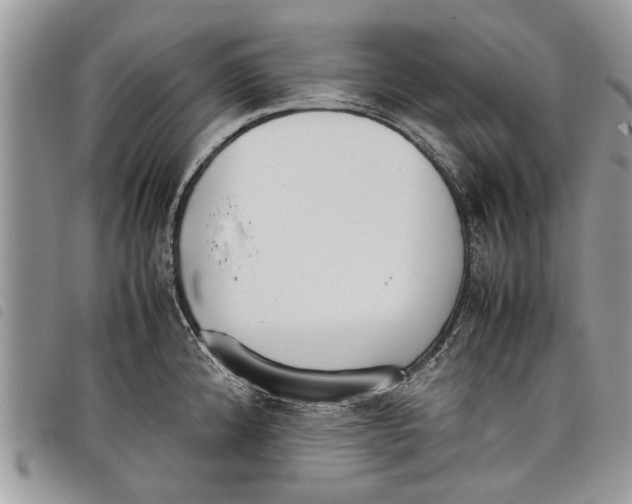 X0000097801192200804110916