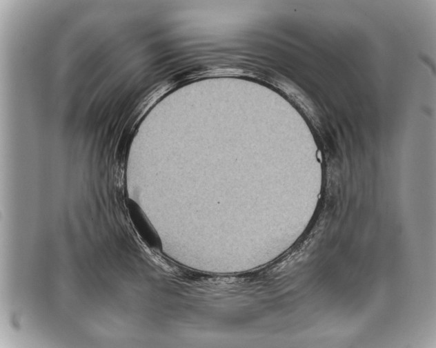 X0000097801193200804110916