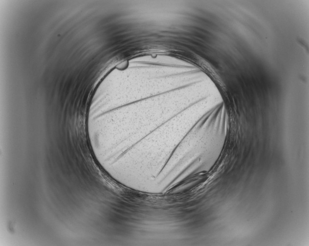 X0000097801194200804110916