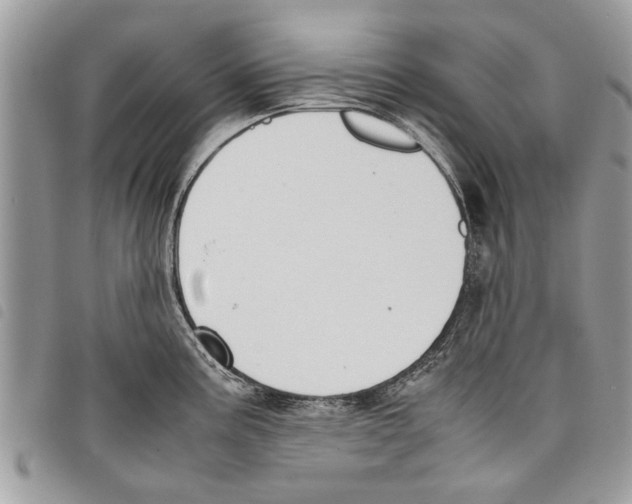 X0000097801195200804110916