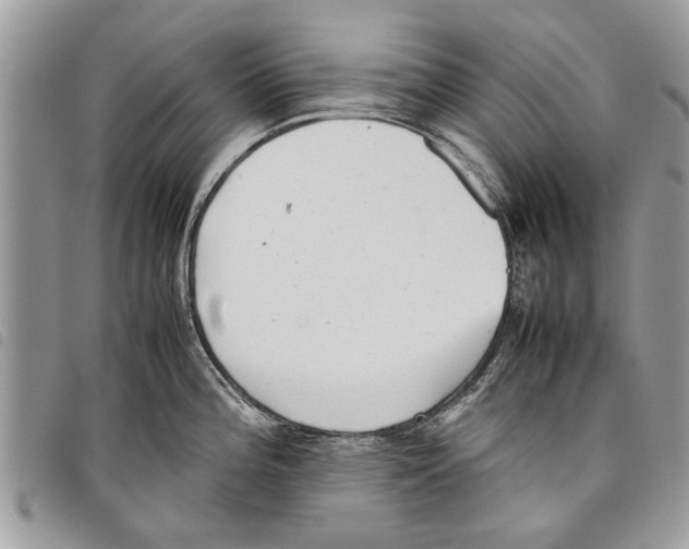 X0000097801196200804110916