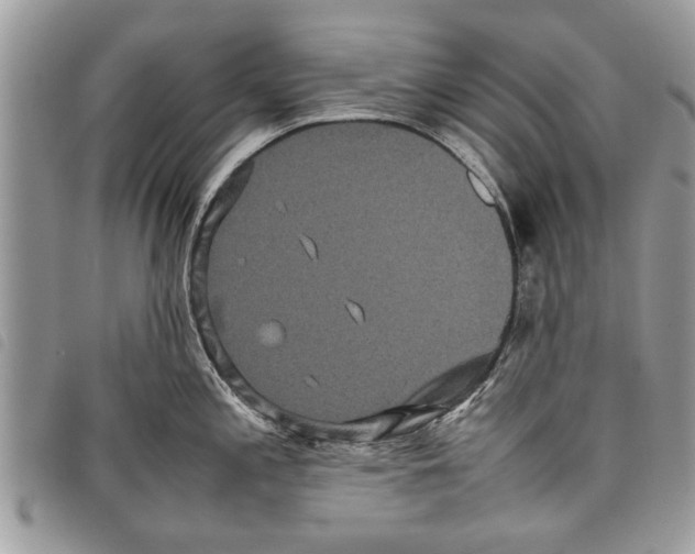 X0000097801197200804110916