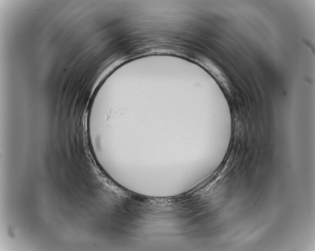 X0000097801198200804110916