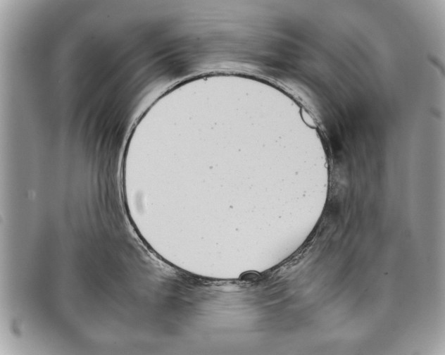 X0000097801199200804110916