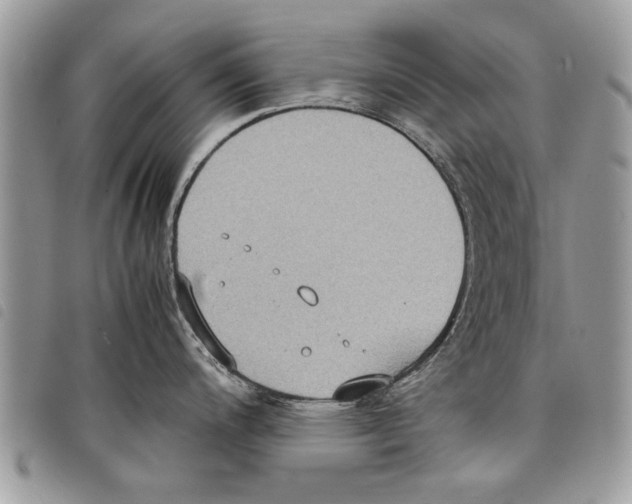 X0000097801200200804110916