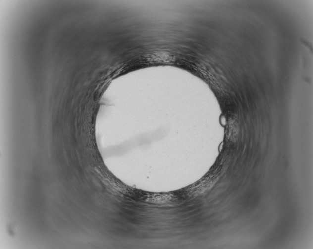 X0000097801201200804110915