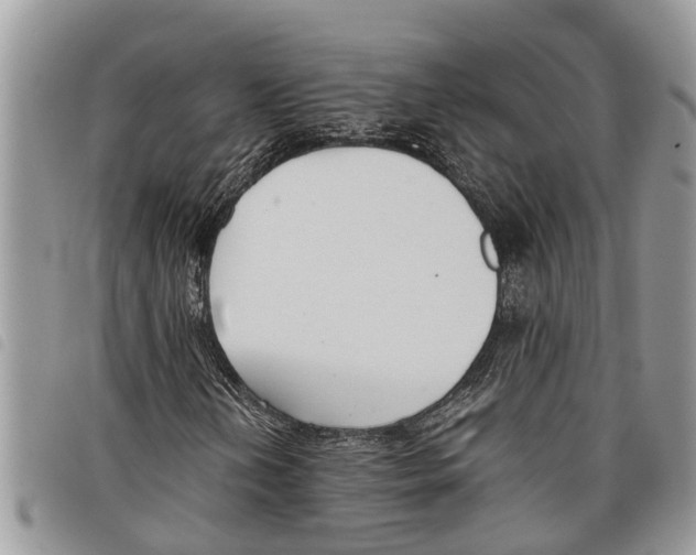 X0000097801202200804110915