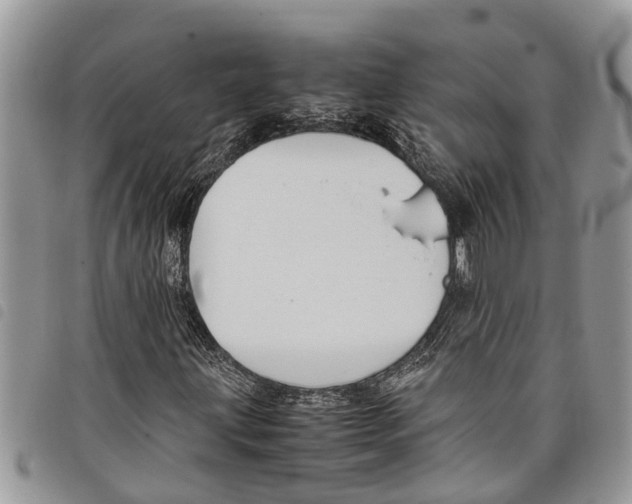 X0000097801203200804110915