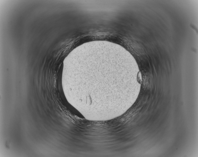 X0000097801204200804110915