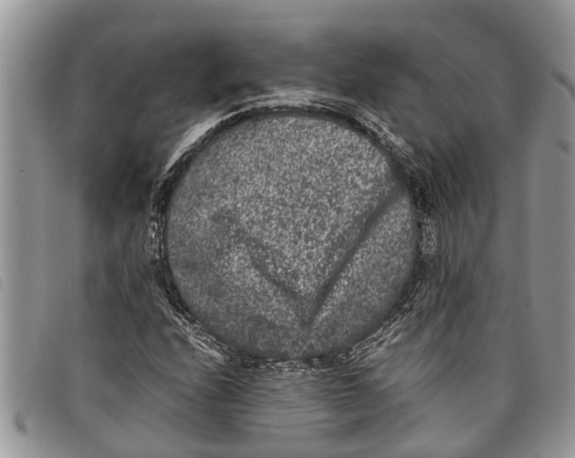 X0000097801208200804110915