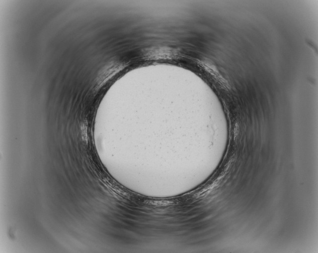 X0000097801209200804110915