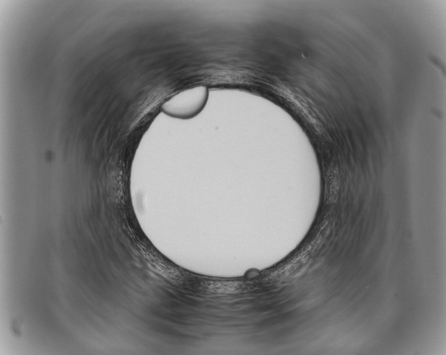 X0000097801211200804110915