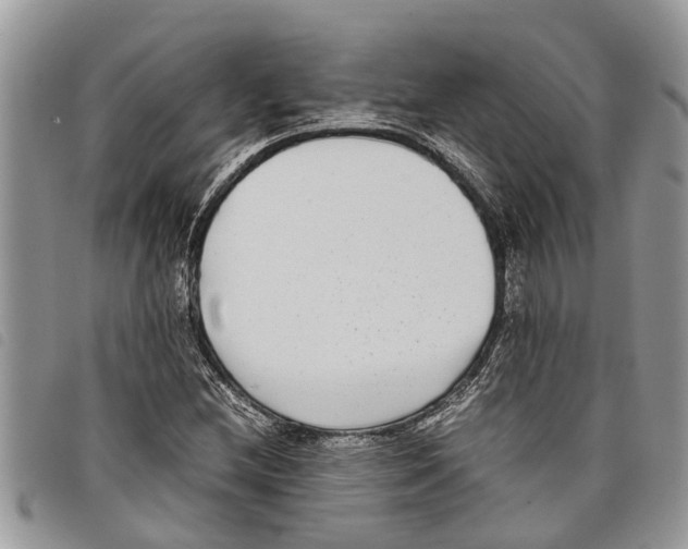 X0000097801212200804110915