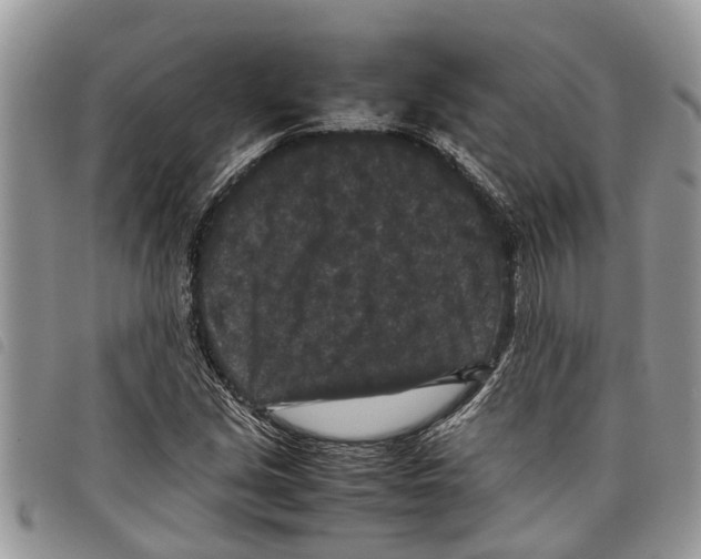 X0000097801213200804110915