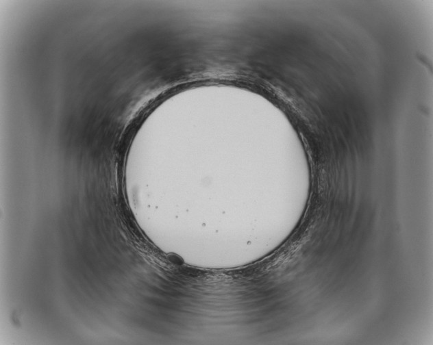 X0000097801214200804110915