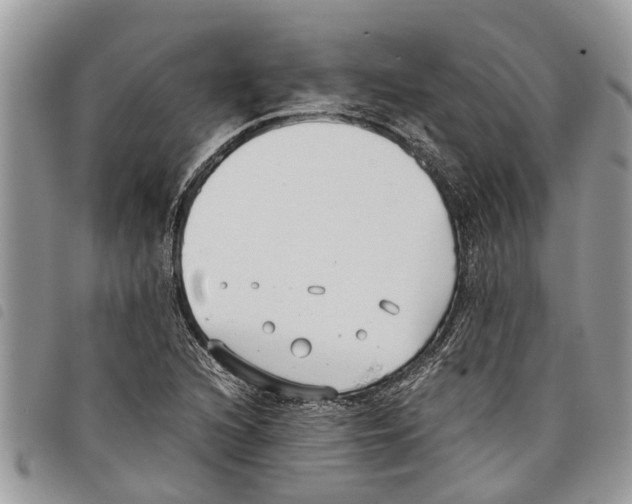 X0000097801216200804110915