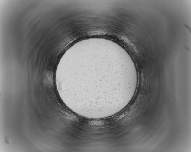 X0000097801217200804110915