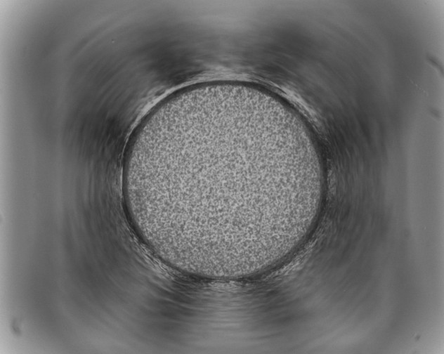 X0000097801220200804110915