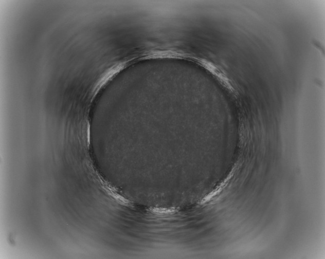 X0000097801221200804110915