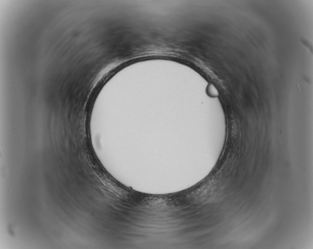 X0000097801222200804110915