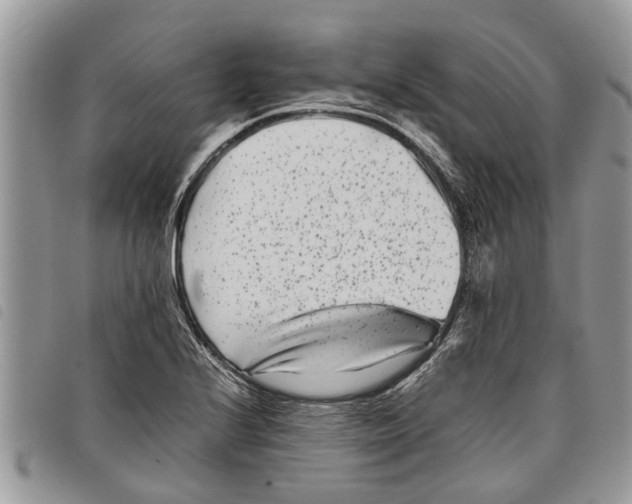 X0000097801224200804110915