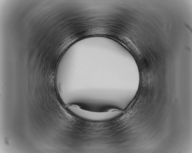 X0000097801225200804110915