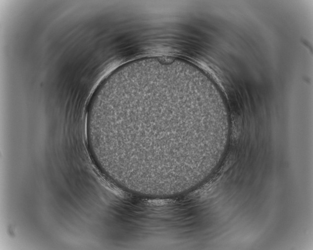 X0000097801227200804110915