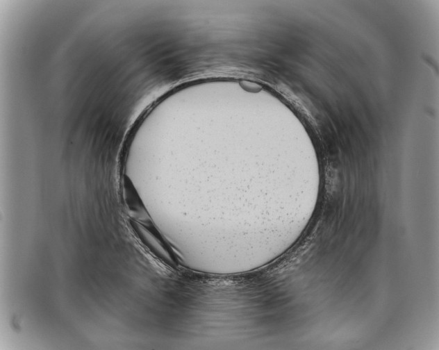 X0000097801230200804110915